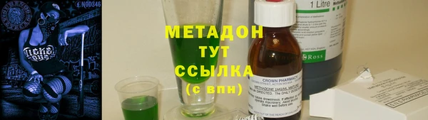 индика Аркадак