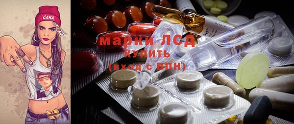 индика Аркадак