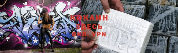 индика Аркадак