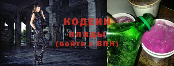 индика Аркадак