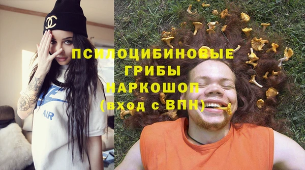 индика Аркадак