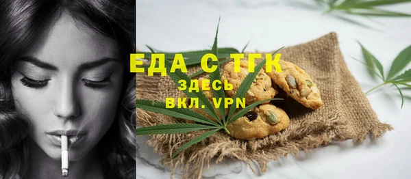 индика Аркадак